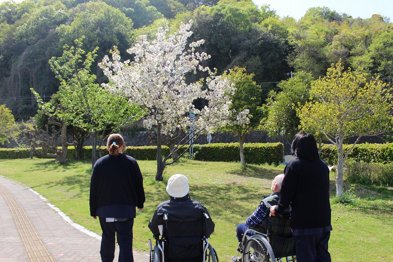 天気がいいのでお花見散策